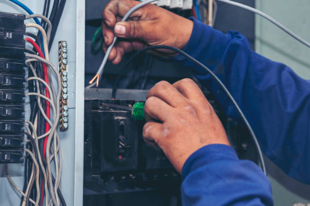 Best Ceiling Fan Installation Electrician  in Delphi, IN